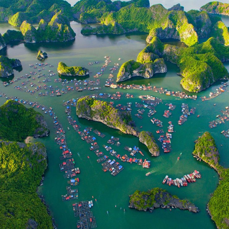 Why should you go to Lan Ha Bay and not Ha Long Bay?