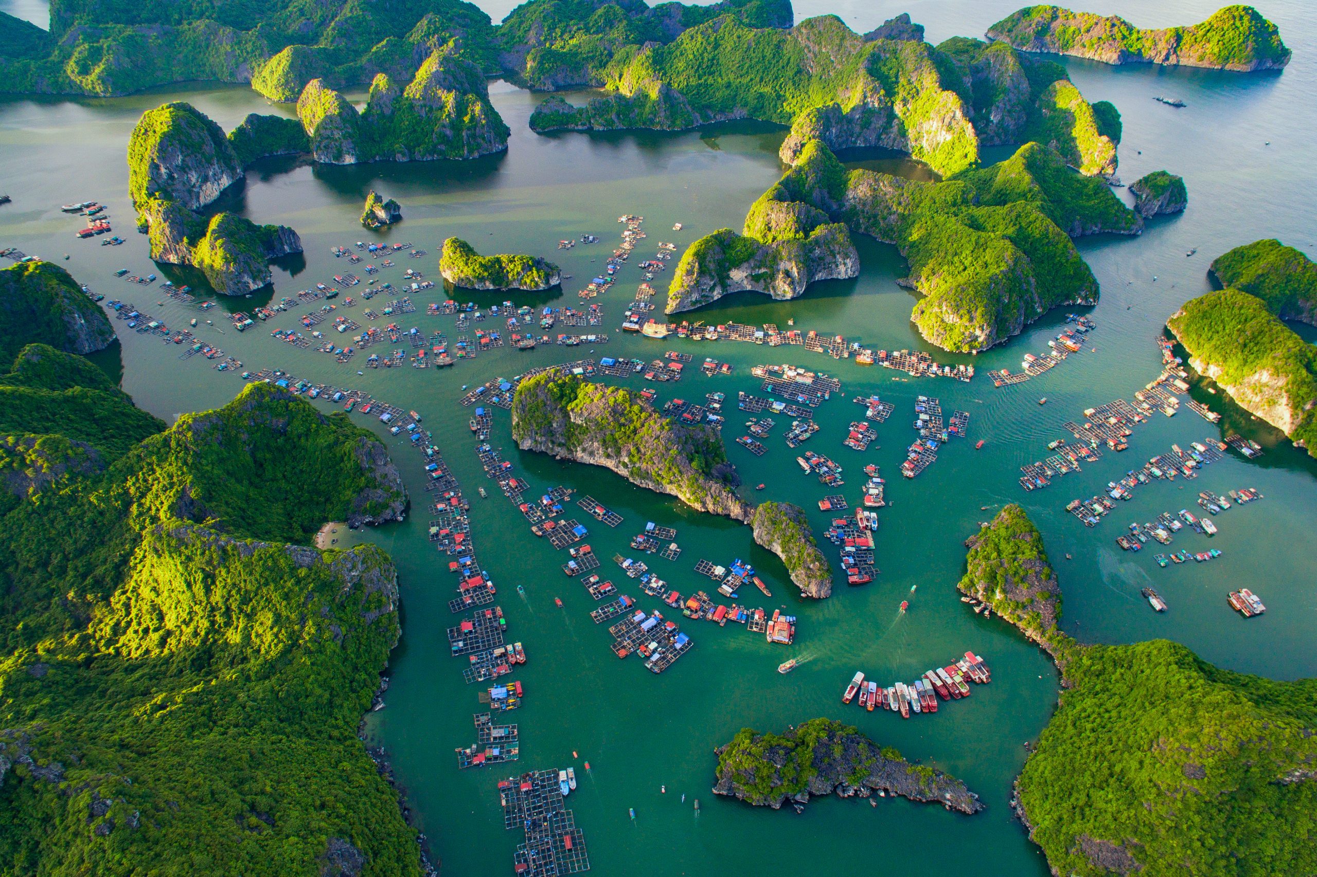 Why should you go to Lan Ha Bay and not Ha Long Bay?